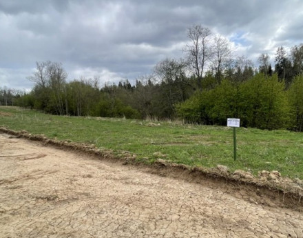 Виды Каретный ряд