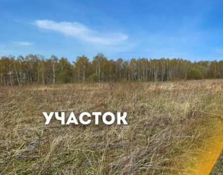 Коттеджный поселок Дмитриевское