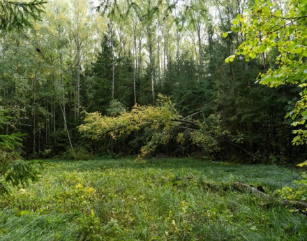 Виды Экопарк Истра