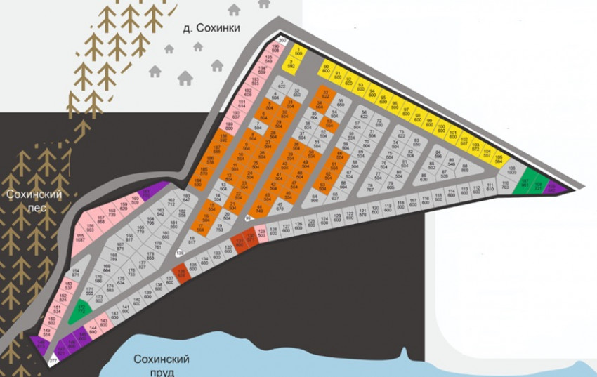 610c1b35fcbc50658c33774e5...