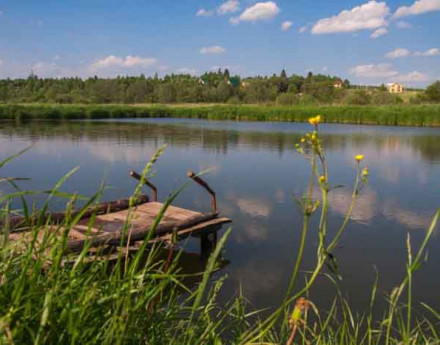 Дачный поселок Тургенево