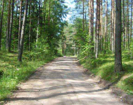 Участки в ДНП Лесное Киевское шоссе