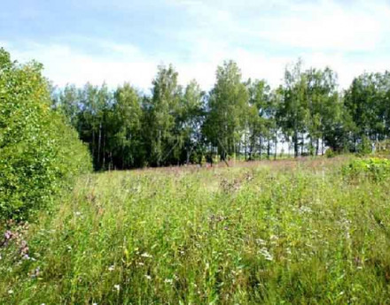 Участки Арбузово