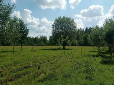 Коттеджный поселок Молзино