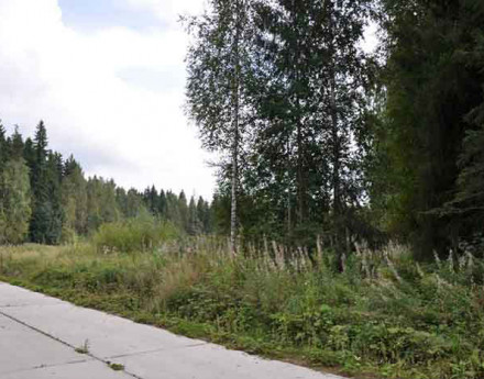 Коттеджный поселок Ермолино Парк