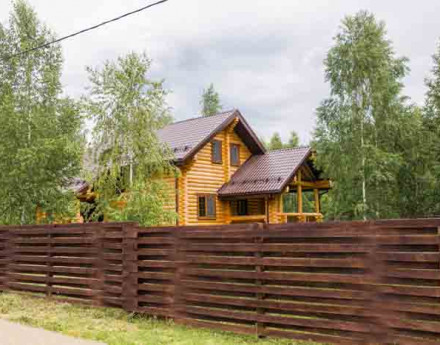 Изумрудные кроны на Горьковском шоссе