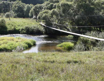 Природа в поселке Солнечная долина