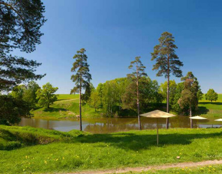 Коттеджный поселок Незабудкино