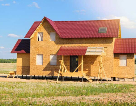 Солнечный луг