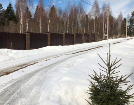 Форест Вилладж