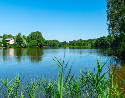 Виды Пашуковские озера