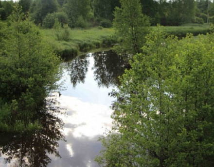 Окрестности Барские просторы