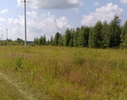 Участки Беняково на Ленинрадском шоссе