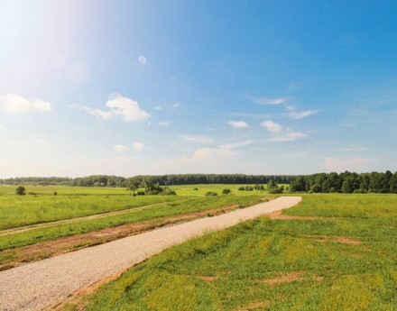 Коттеджный поселок Солнечный луг