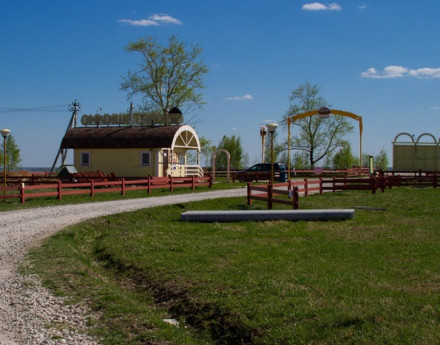 Территория Картошкино