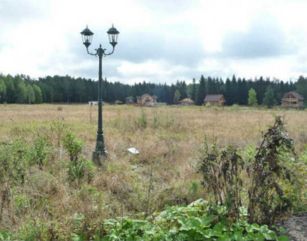 Коттеджный поселок Боровик