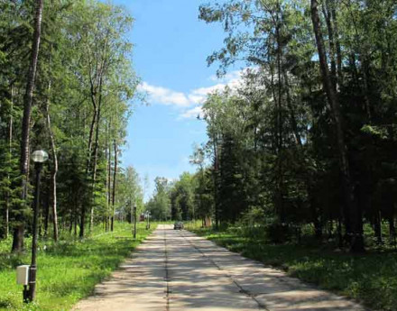 Дорога в поселке Истринский лес