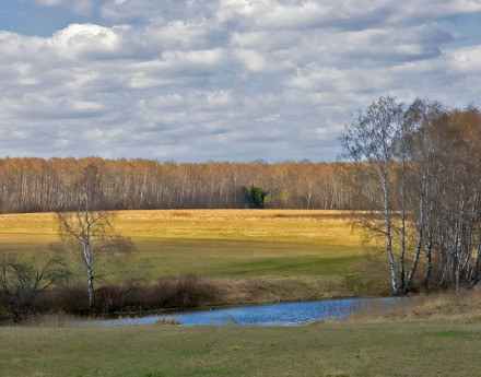 Коттеджный поселок Заболотье Вилладж