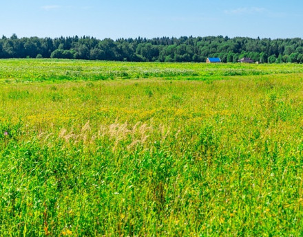 Коттеджный поселок Поваровская слобода