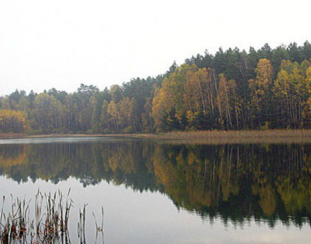 Окрестности Бородино