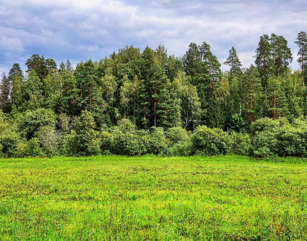 Поселок Истринские усадьбы Новорижское шоссе