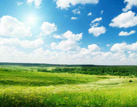 Коттеджный поселок  Эко-город Васильково