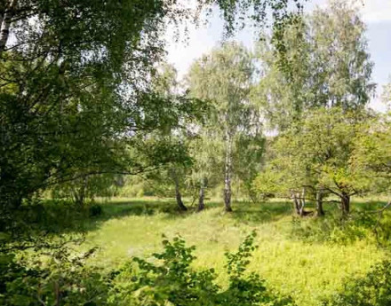 Участки в Раменском районе