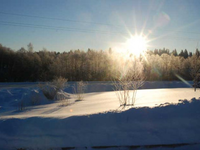 Поселок Перелески