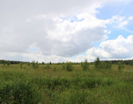 Коттеджный поселок Бегичево