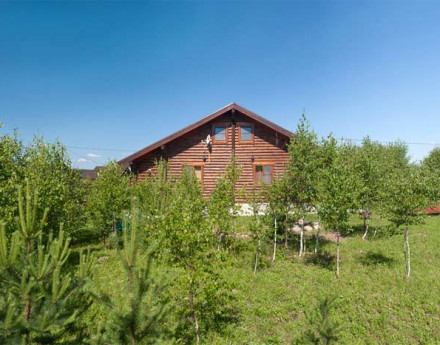 Дома в поселке Земляничная поляна