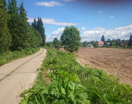 Дачный поселок Арбузово