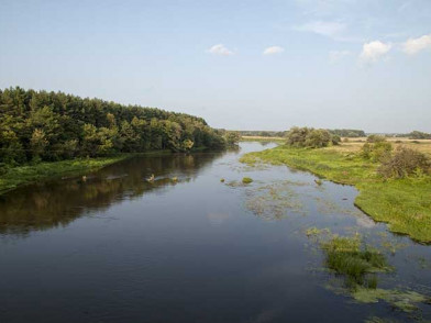 Дорога в поселок Грибово-2