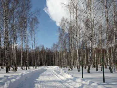 Малое лесное на Дмитровке