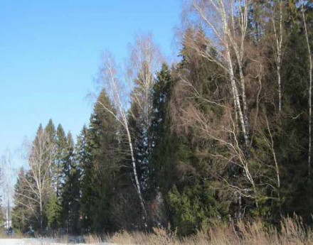 Участки в Пушкинском районе