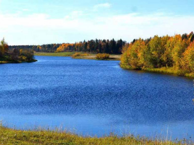 Дачный поселок Матрёнино