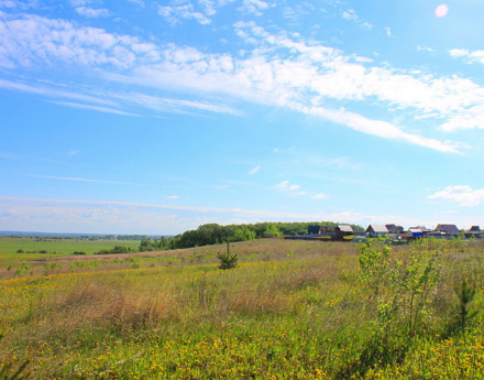 Купить участок Петровское