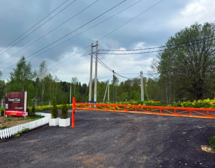 Виды Форест Клаб