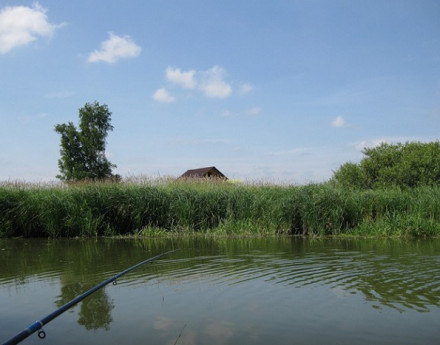 Купить участок Владимирские усадьбы