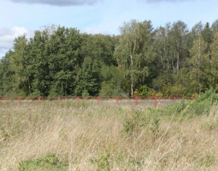 Строительство Олимпия