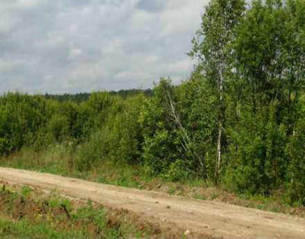 Территория Калинино