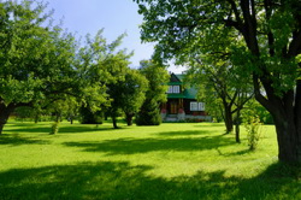 Названы причины снижения спроса на участки без подряда 