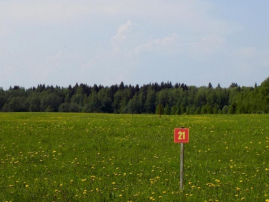 Дачный поселок Петрухино дальнее