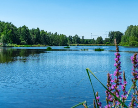 Виды Пашуковские озера