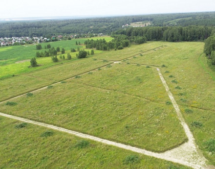 Виды Романовские сады