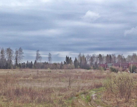 Дача в Защепино