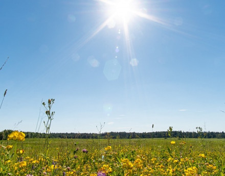 Виды Поваровская слобода
