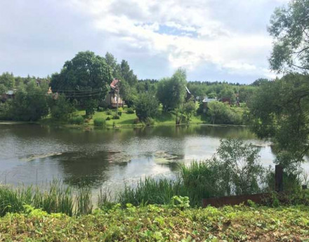 Дома в поселке Киселевка