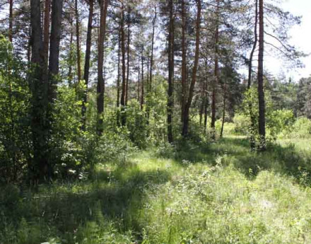 Участки Ильинский