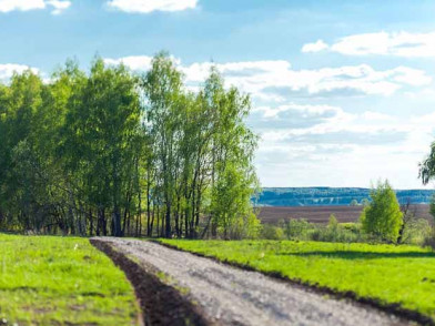 Дорога в поселок Парк удач