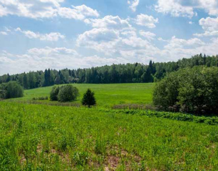 Территория поселка Залесье